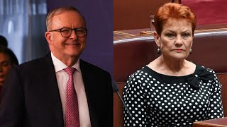 Sky News Pulse: Labor restores primary vote lead as One Nation sees dip in support