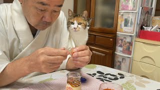 住職が可愛い動画。