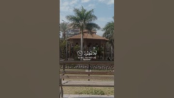 قرآن كريم راحة نفسية #قران_كريم #المصحف #قرآن #قرآن_كريم #راحة_نفسية