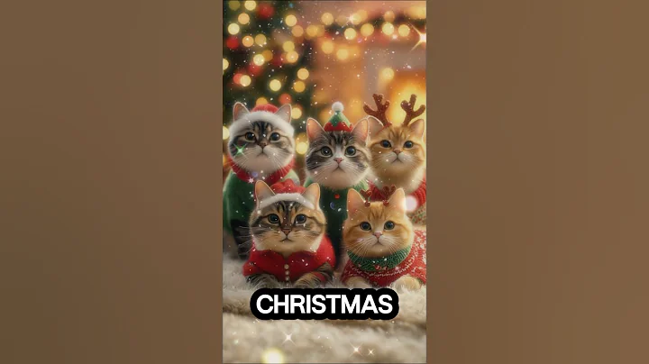 Video 11652241: adorable american shorthair cat, american shorthair cute cat, cutest american