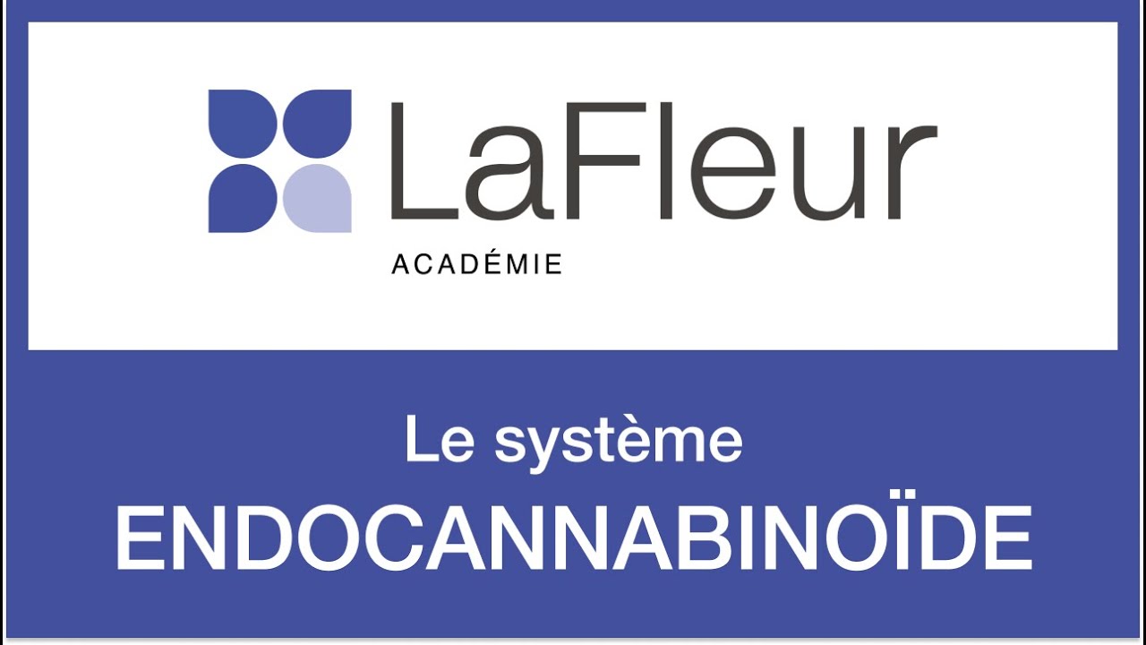 LaFleur Académie - Formation Cannabis médical : le système endocannabinoïde​