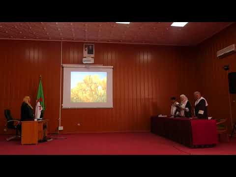 مناقشة ملف التأهيل الجامعي للباحثة حلاسي وردة قسم اللغة والأدب العربي المداولة