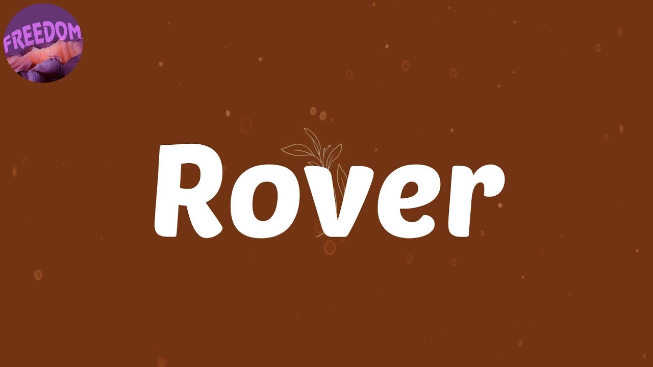 Rover feat dtg