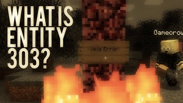 The Entity 303 Documentary [First Encounter]