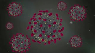 What do studies on new coronavirus mutations tell us?