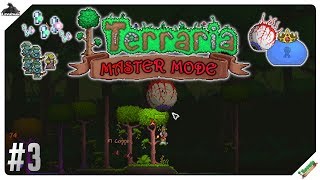 Welcome back to my terraria 1.4 journeys end playthrough, in todays
episode we are taking on the king slime and eye of cthulhu boss show
off true stre...