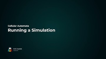 H.I.V.E. CA: Running a Simulation