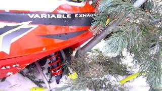 sicamous (Owlhead) snowmobile tree crash