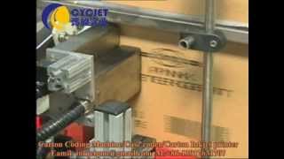 Automatic Carton Printing Machine/case coding system/carton coders/box coders/date code printer CYC
