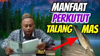 Katuranggan perkutut || manfaat perkutut talang mas / cadong nugroho