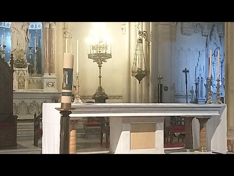 Santa Misa de Apertura del Primer Sínodo Arquidiocesano