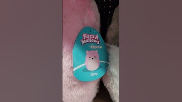 New squishmallows- Fuzzamallows 🤩💙 #shorts