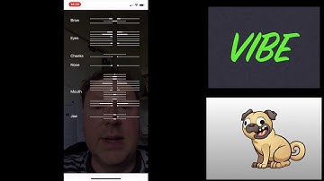 FAT - Facial Analytics Tool for Anitooni