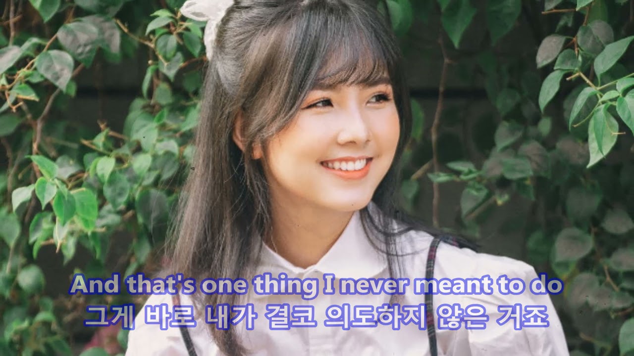 Don't Let Me Be Misunderstood - The Animals: with Lyrics(가사번역) || 날