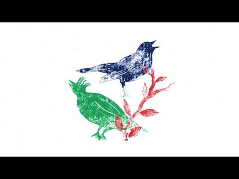 Putar I Wanted to Belong - Ballaké Sissoko