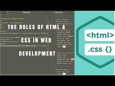 THE ROLES OF HTML & CSS IN WEB DEVELOPMENT