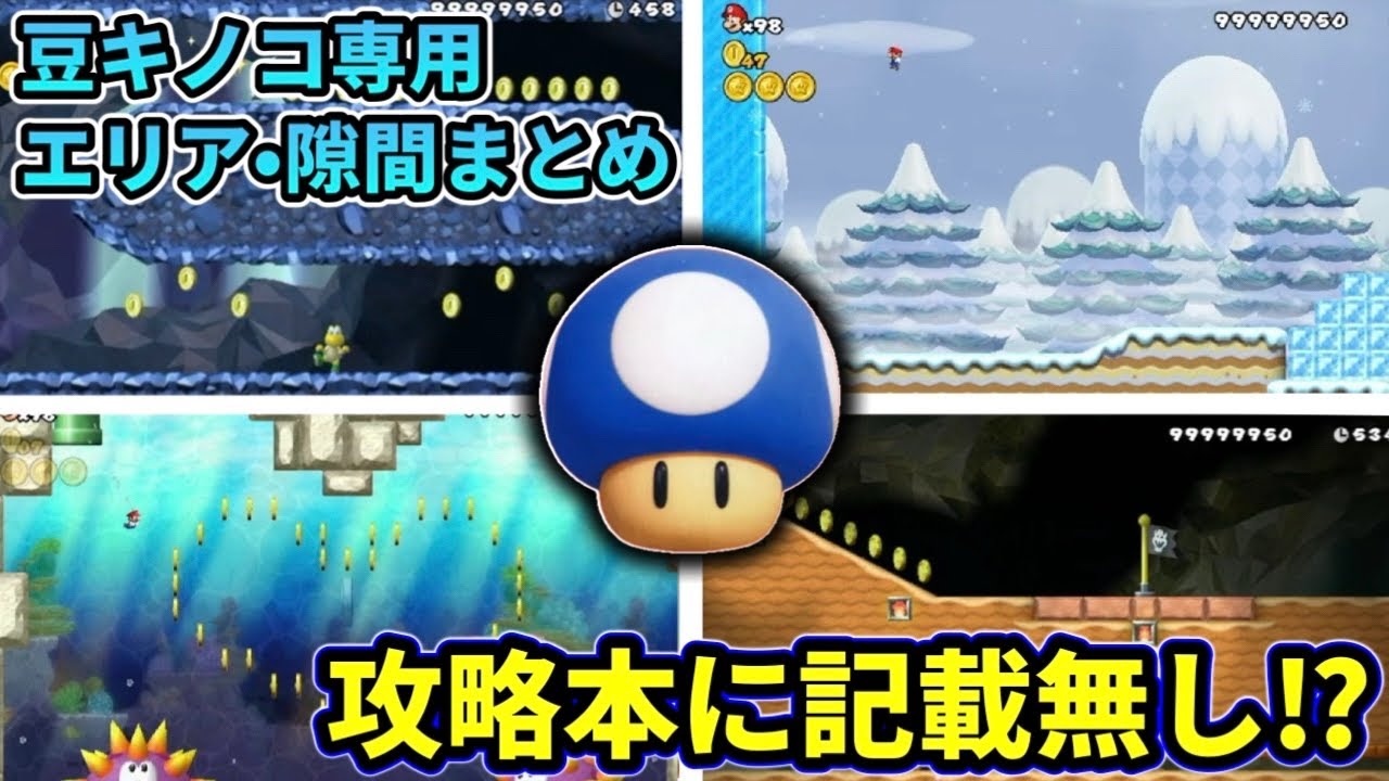 【Wii】豆キノコ専用エリア•隙間まとめ【NewスーパーマリオブラザーズWii】