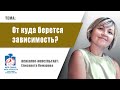 Дефекты характера. Моя семья - Моя крепость. МСМК.