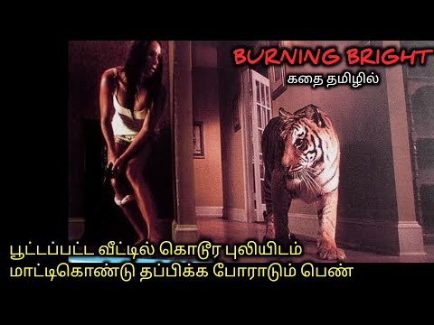 வீட்டுக்குள்ளபுலி .. எங்கேயாவது போய் ஒலி|Tamil voice over|AAJUNN YARO| movie Story & Review in Tamil