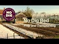 No Dig Bed Prep & Transplanting, for speed of readiness and popping in plants