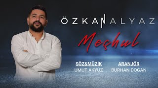 Özkan Alyaz - Meçhul Resimi