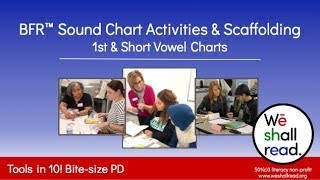 BFR™ Sound Charts Activities: 1st & Short Vowel Charts