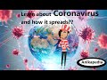 Understanding Viruses and the Immune Response