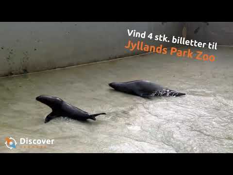 Jyllands Park Zoo