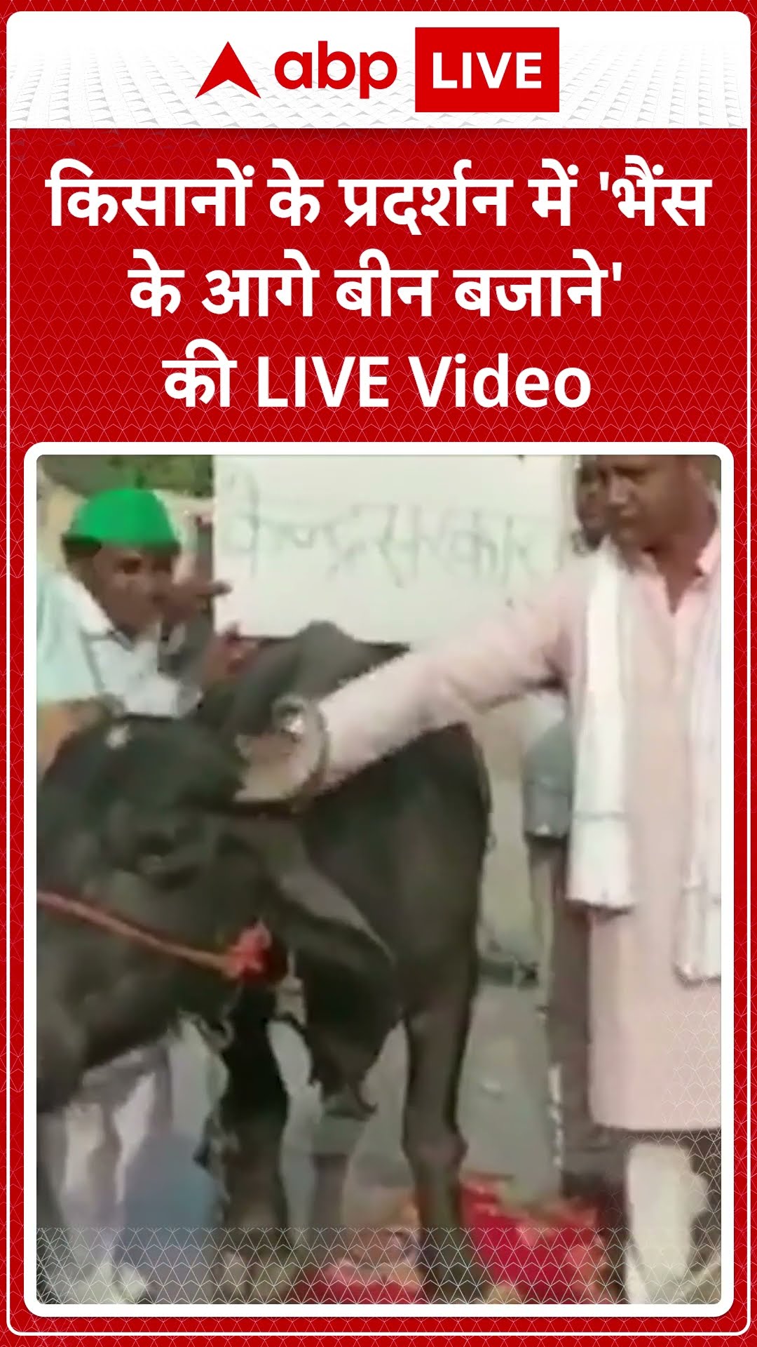Farmers protest: किसान ने भैंस के आगे बीन बजाकर जताया सरकार का विरोध, वायरल हो रहा है वीडियो