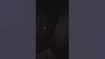 لاشي لاشي 