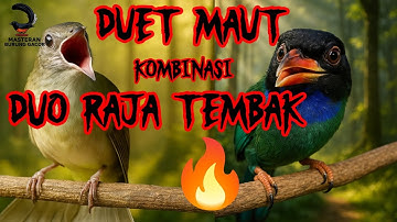 Suara Kombinasi Kapas Tembak & Tengkek Buto – Masteran Gacor Full Power 🔥