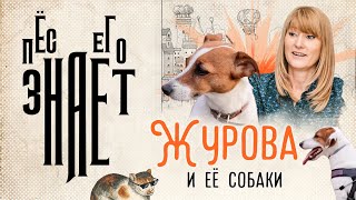 «Пёс его знает»: Журова и её собаки by Абзака 1,682 views 2 weeks ago 4 minutes, 51 seconds
