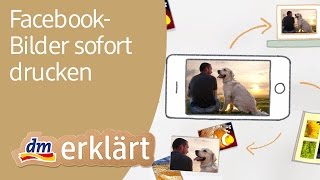 Dm Fotoservice In Den Dm Markten Facebook Bilder Uber Facebook Connect Sofort Drucken Youtube