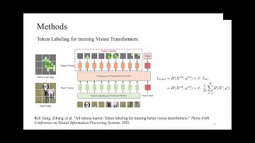 VisDA-2021 NeurIPS Workshop: Universal Visual Adaptation Challenge -  Winners and Invited Talks