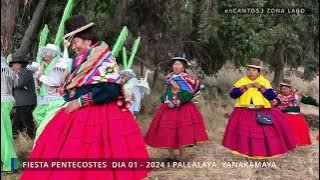 PALLALAYA Fiesta PENTECOSTÉS - Acora 2024 Día 01 | Zona Lago