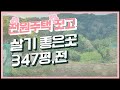 이런 땅 경매 받아서 전원주택 지어볼까 계획관리지역 347평