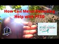 PTSD and Metal Detecting | How Does It Help? | PTSD Awareness