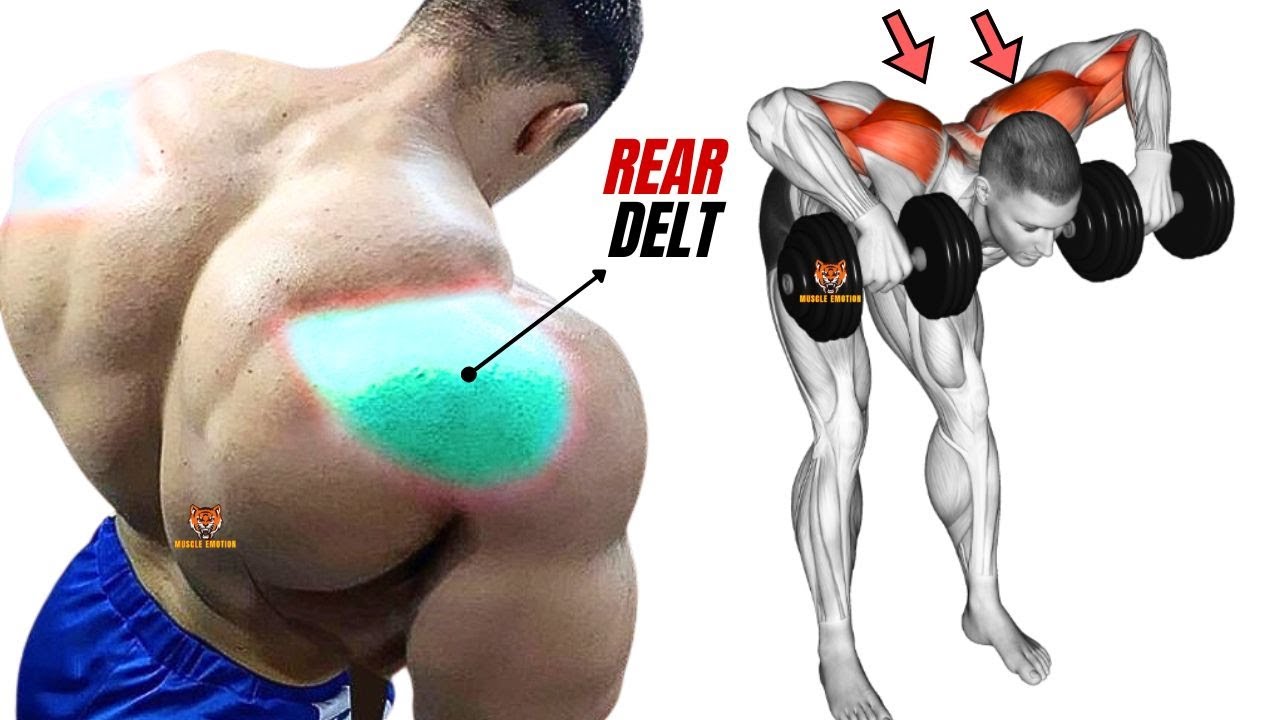 15 BEST REAR DELTOID EXERCISES WITH DUMBBELLS BARBELL AND CABLE ONLY AT ...