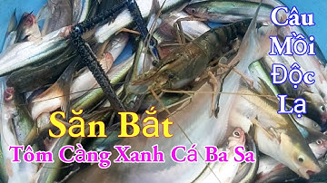 Săn Bắt Tôm Càng Xanh Ba Sa Câu Mồi Độc Lạ /Ẩm Thực Ven Sông Quán Mua Sạch / Kiềm Rapper