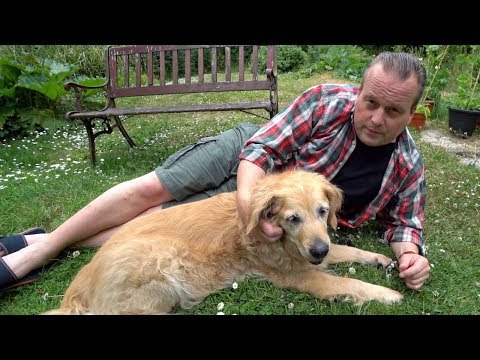 managing-canine-epilepsy