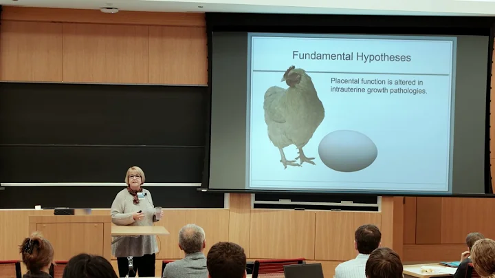 Workshop on the Maternal Environment: Theresa Powe...