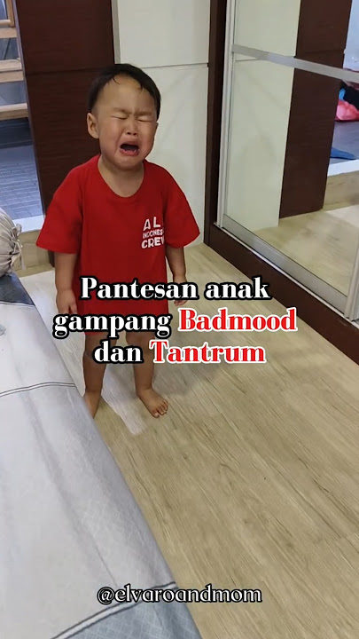 Kenapa Anak Sering Tantrum? Ternyata Ini Sebabnya! #tantrumanak #tipsparenting #moodanak #tantrum