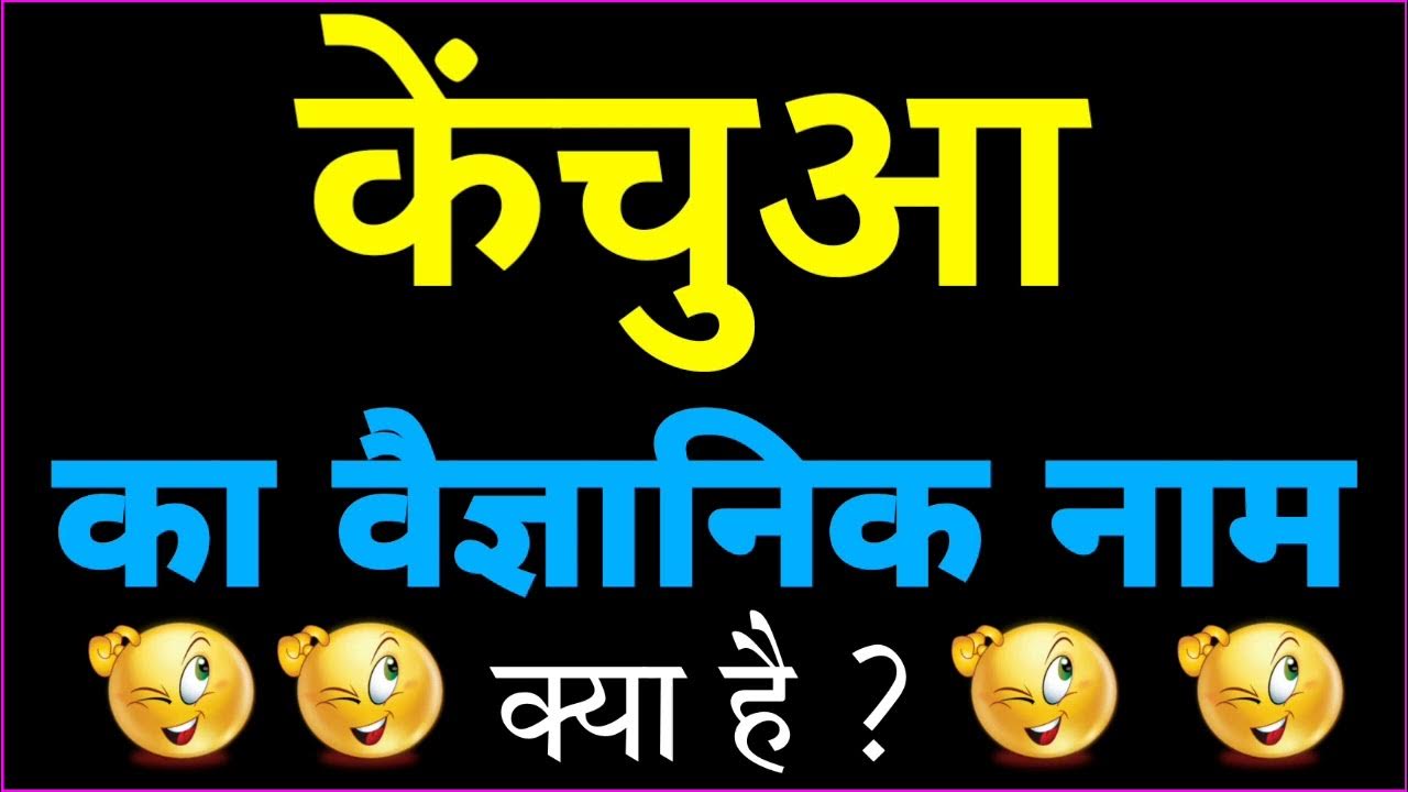Kenchua Ka Vaigyanik Naam Kya Hai Kenchua Ka Scientific Name khane-wala-soda-ka