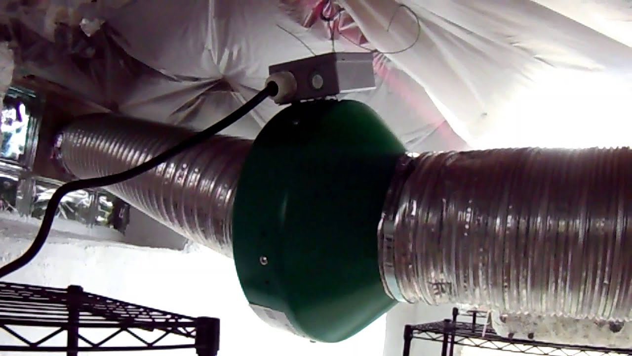 Mushroom Adventures Episode 9 Clean Your Ventilation Equipment