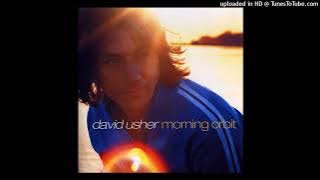 David Usher - Black Black Heart - Composer : David Usher/Jeff Pearce (CDQ) 2001