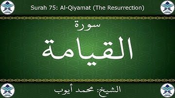 القرآن الكريم بصوت محمد أيوب - سورة القيامة