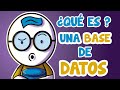 ¿Qué es una BASE DE DATOS?// características GENERALES