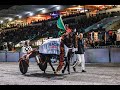 2025 The Race By Betcha FFA 2200M Cambridge Raceway New Zealand Leap To Fame 1 52 3 2025 The Race By Betcha FFA 2200M Cambridge Raceway New Zealand Leap To Fame 1 52 3