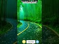 natural🌍⛈️so beautiful🌹status♥️short video.#viralsshortvideo #viralsong #trendingvideo #trendingsong