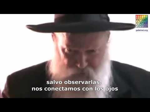 EL SECRETO DE LA LUZ Y EL COLOR EL SECRETO DE LA LUZ Y EL COLOR